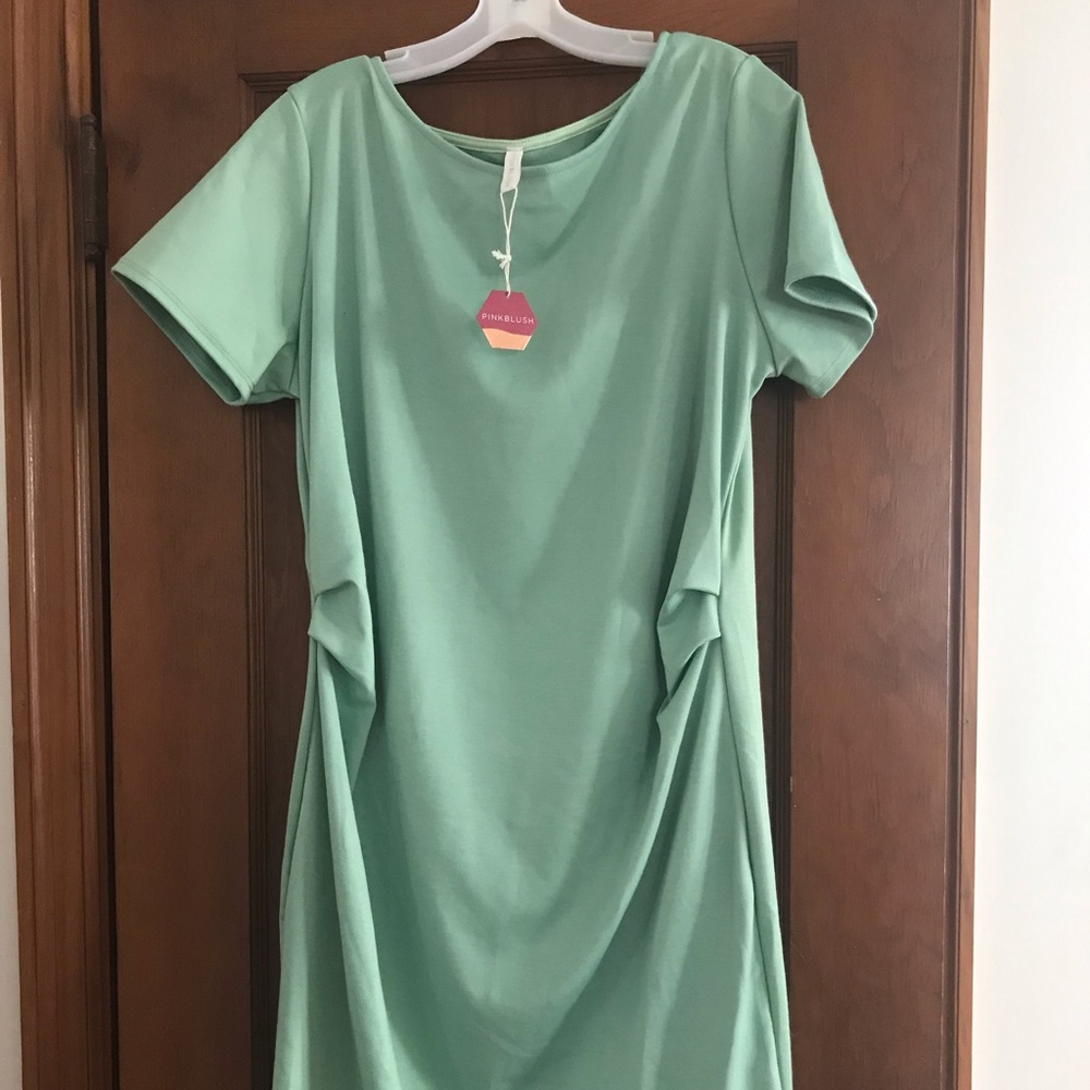 NWT Pinkblush Maternity fitted dress